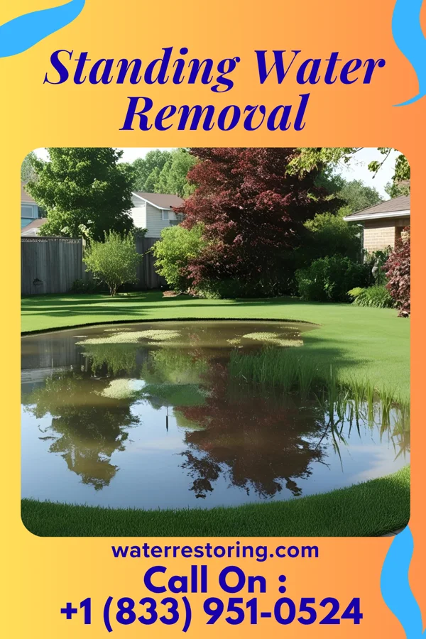 Standing Water Removal in Enosburg Falls, VT